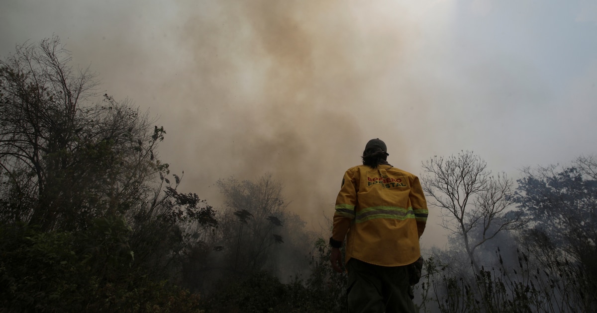 Quatro meses de incêndios florestais na Bolívia: 7 chaves para compreender a crise ambiental no país